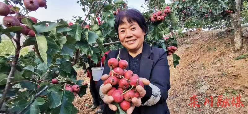 微信图片_20221024152944.jpg