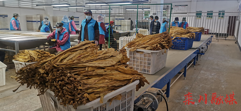 微信图片_20221024160620.jpg