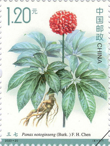 16998435380681041_368x489.jpg