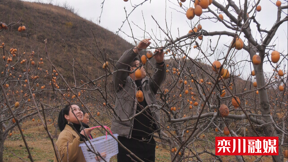 微信图片_20231211093323.png