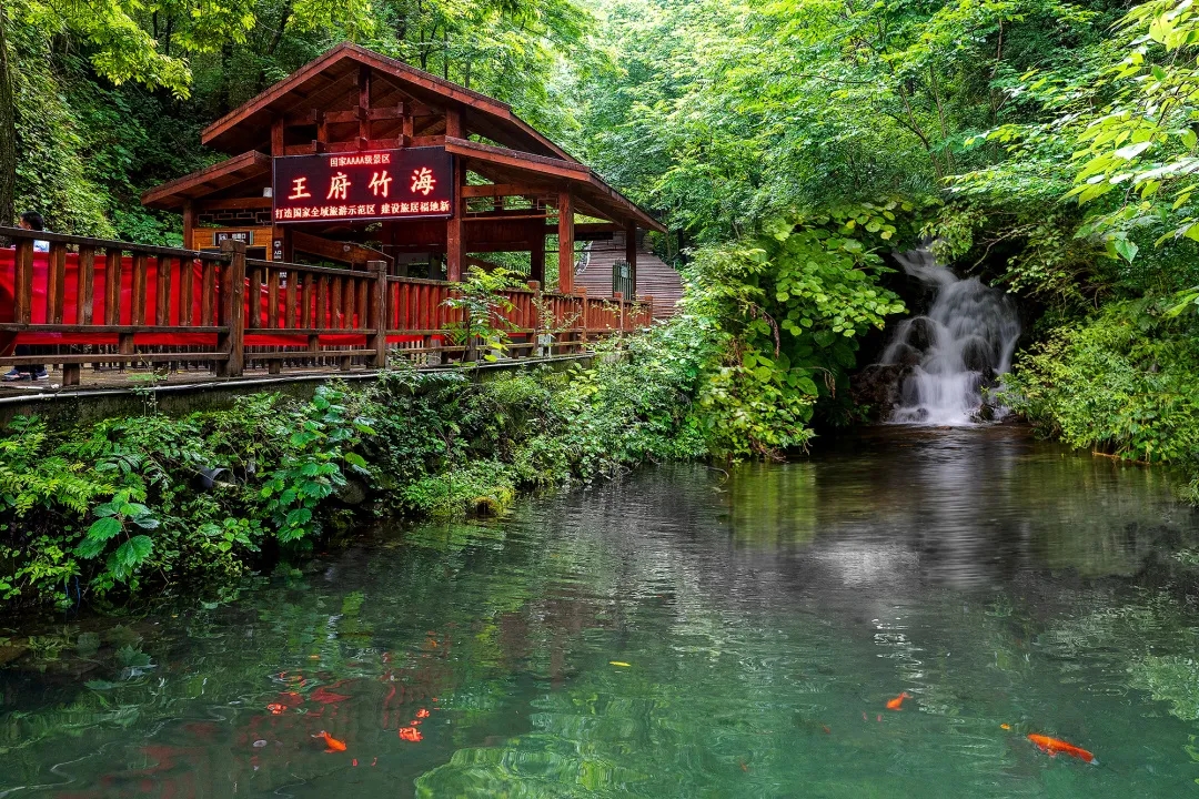 王府竹海